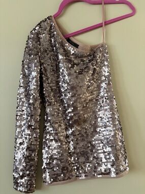 BCBGMaxAzria Silver Sequin Top